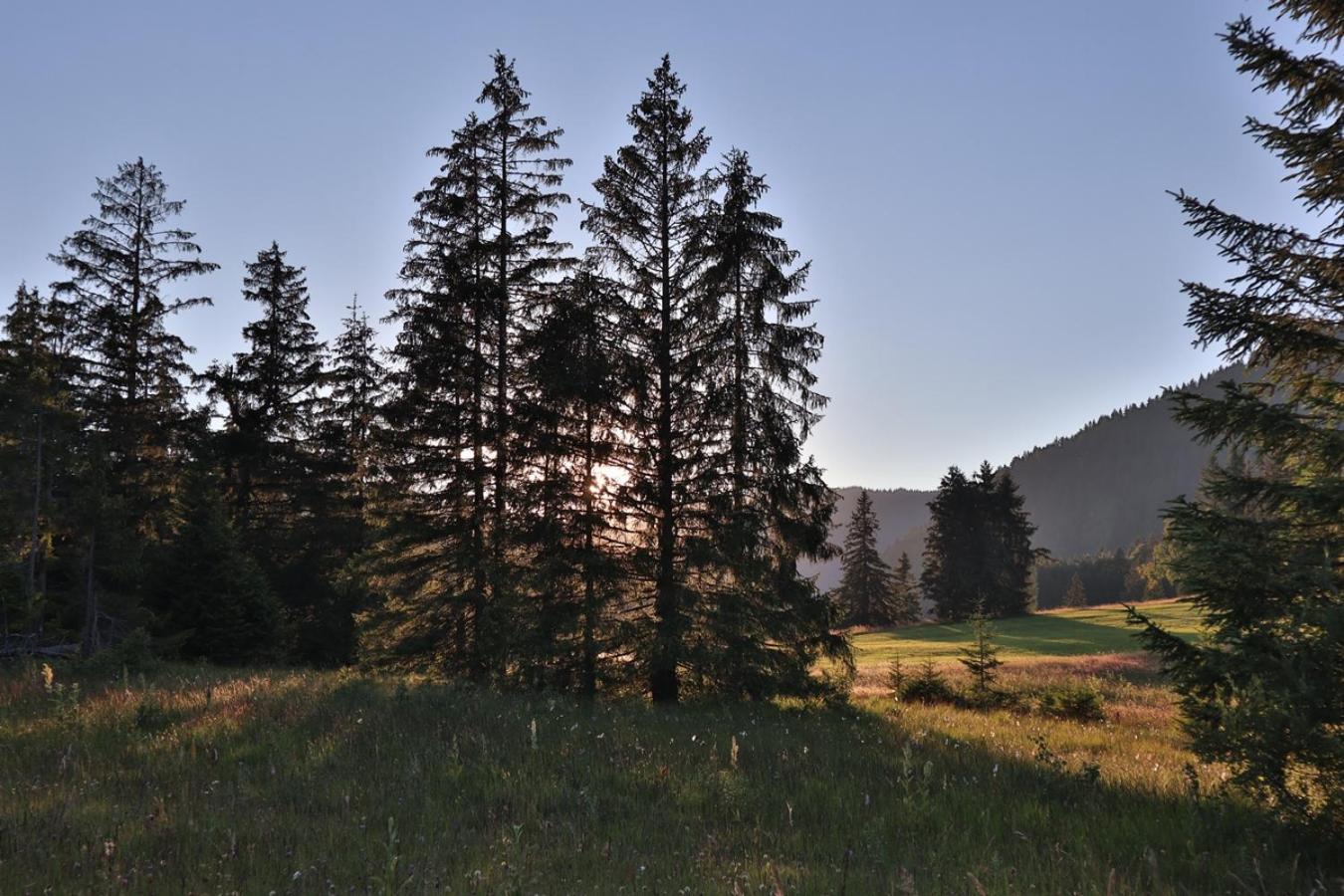 Ruhehotel & Naturresort Rehbach - Adults Only Schattwald Dış mekan fotoğraf