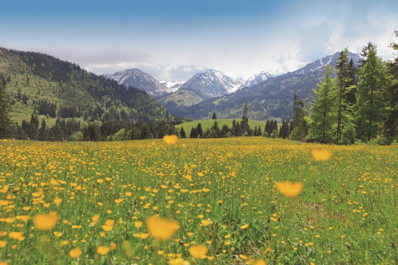 Ruhehotel & Naturresort Rehbach - Adults Only Schattwald Dış mekan fotoğraf